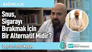 Snus, Sigarayı Bırakmak İçin Bir Alternatif Midir?