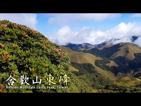 【台灣百岳】合歡山東峰 玉山杜鵑花季 Hiking in Hehuan Mountain Easth Peak, Yushan Rhododendron, Taiwan