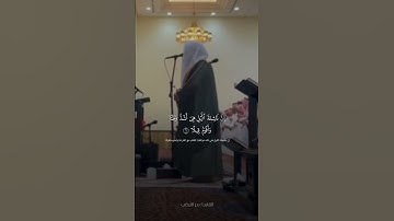 سورة المزمل // بصوت #الشيخ #بدر_التركي #اكسبلور #quran