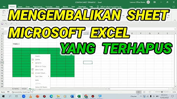 Mengembalikan Sheet Excel Yang Terhapus