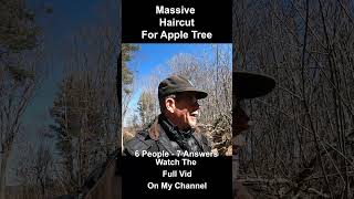Hard Prune To My Oldest Apple Tree #diy