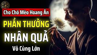 FEEDING STRAY DOGS AND CATS CAN BRING IMMENSE KARMIC REWARDS | ANCIENT WISDOM