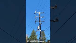 Lineman #linework #journeymanlineman  #MJFL