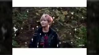 Bts vines Part 2