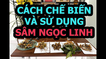 Cách Chế Biến và Sử Dụng Sâm Ngọc Linh