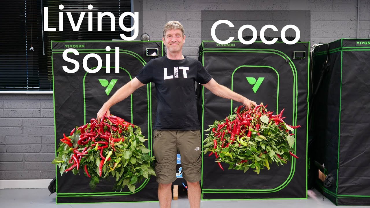 Organic living soil vs coco results