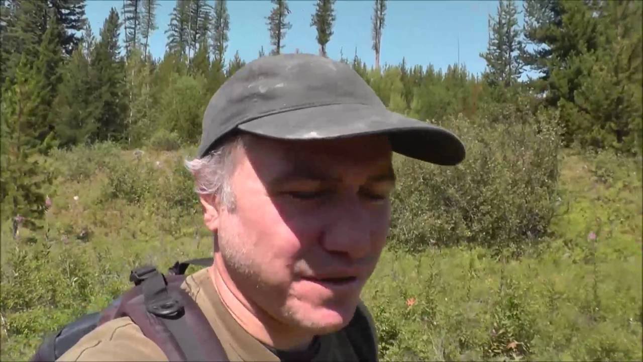 Quartz Creek Trail to Cummings Meadow, Glacier National Park, Polebridge, Montana