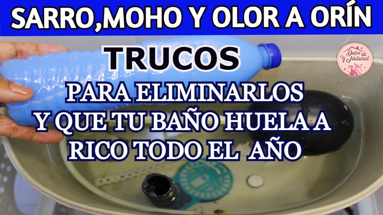 ✨ llegó la hora de acabar con el OLOR A ORÍN, SARRO Y MOHO de tu baño / Dulce y Natural.
