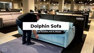 Dolphin Sleeper Sofa