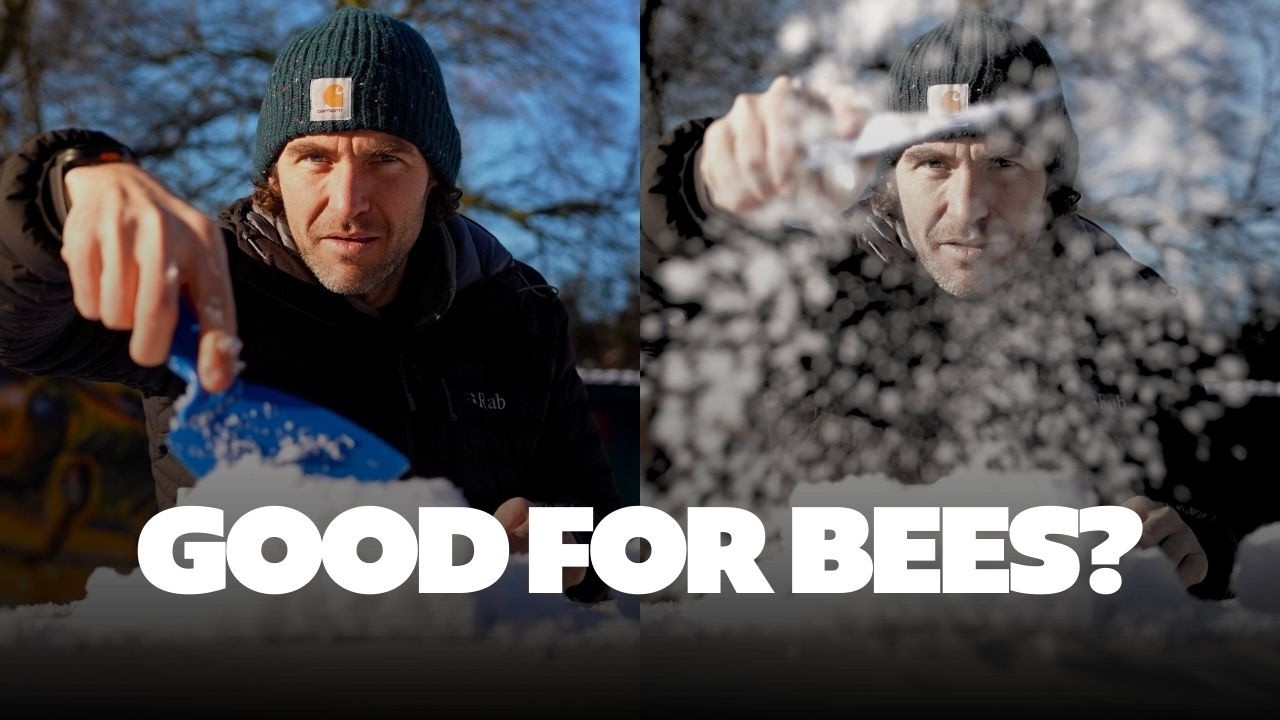 Полезна ли холодная погода для пчел? — Что действительно помогает, а что вредит пчелиной семье.