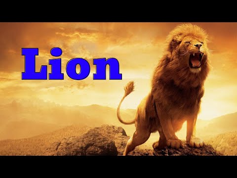 Video học tiếng anh qua con vật cho bé từ 1 đến 5 tuổi | kid... - YouTube