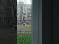 05.05.2023 Снег 🌨 Санкт-Петербург