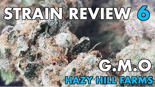GMO STRAIN REVIEW 6 [ GROWERS ONLY CO ]