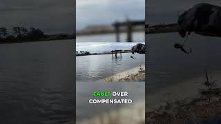 While BANK fishing(Watch Me Lose This Fish Immediately) #shorts #fishing #bassfishingproduction