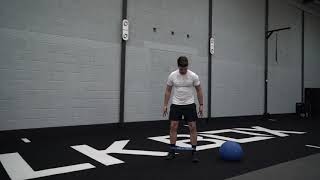 BLK BOX D-Ball Monster Walk screenshot 1