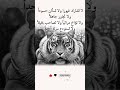 لا تشارك غيورا ولا تسالن حسودآ ولا تجاور جاهلآ ولا تجاور جاهلأ لا تشارك غيورا ولا تسالن حسودآ ولا تجاور جاهلآ ولا تجاور جاهلأ