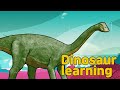 Dinosaur Nigersaurus Collection| What is this dinosaur?| herbivorous dinosaur Nigersaurus|공룡 니게르사우루스