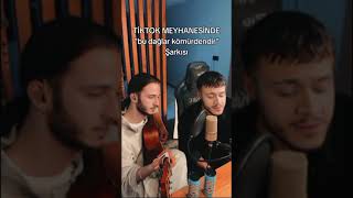 Enes Kiliç - Mehmet Kilinç (Bu Dağlar Kömürdendi̇r) Resimi