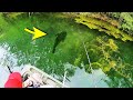 INSANE FISHING in CLEAR WATER POND!!!