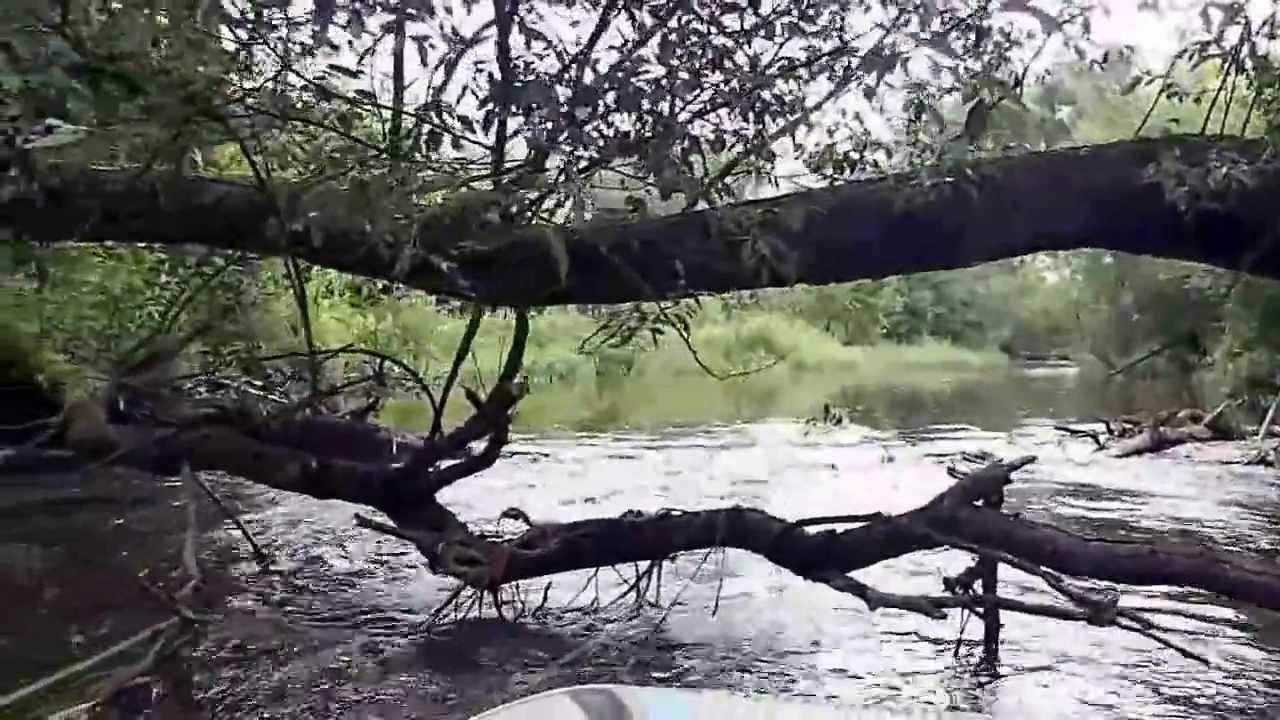 Drzewiczka. Odrzywół - Nowe Miasto