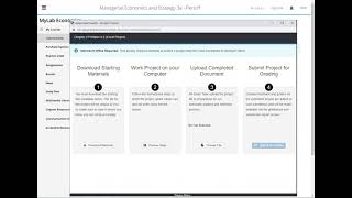 MyLab Econ - Excel Grader Projects
