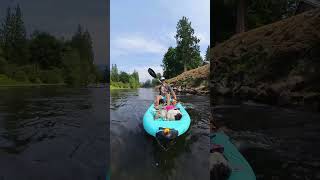 Milly&#39;s First River Float - Floating the River with my Dog #Cute #River #Dog