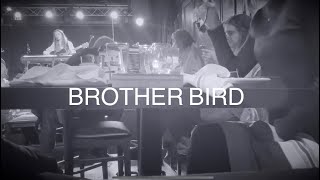 brother bird - live at 118 north, pa (2022)