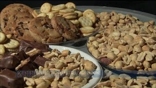 Scientists Moving Towards Peanut Allergy Vaccine