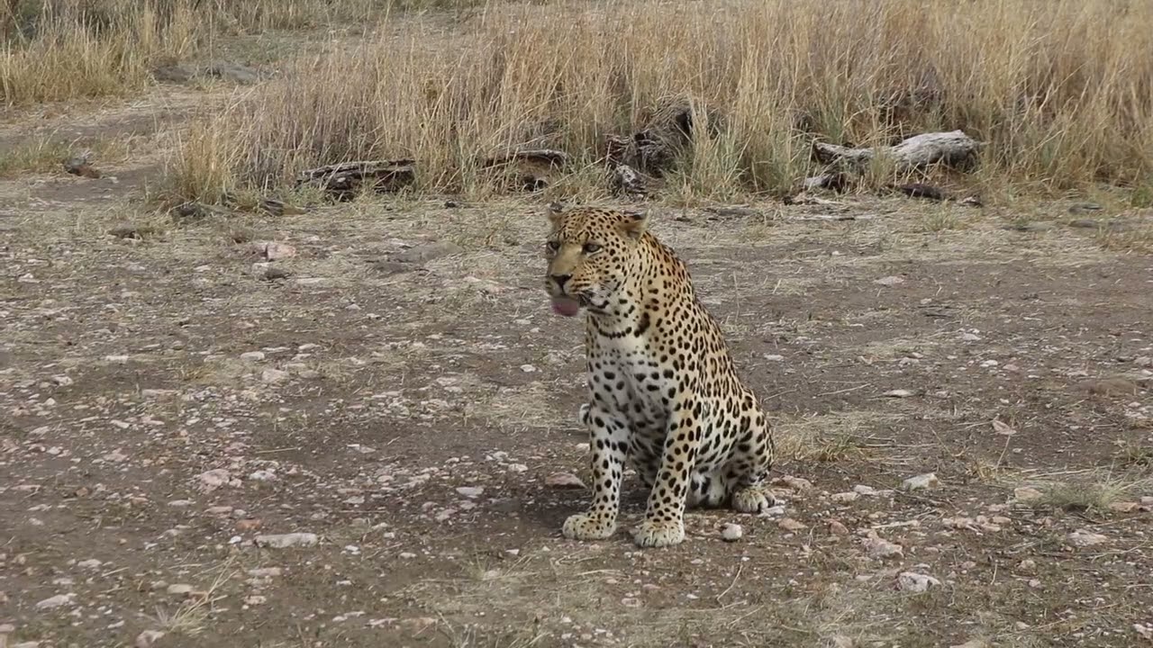 Daycation Delight at Dusternbrook Farm | A Tranquil Retreat Just 50km from Windhoek