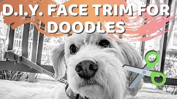 How to Trim Your Doodle
