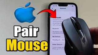 How Connect wireless Mouse to iPhone (No Assistive Touch)