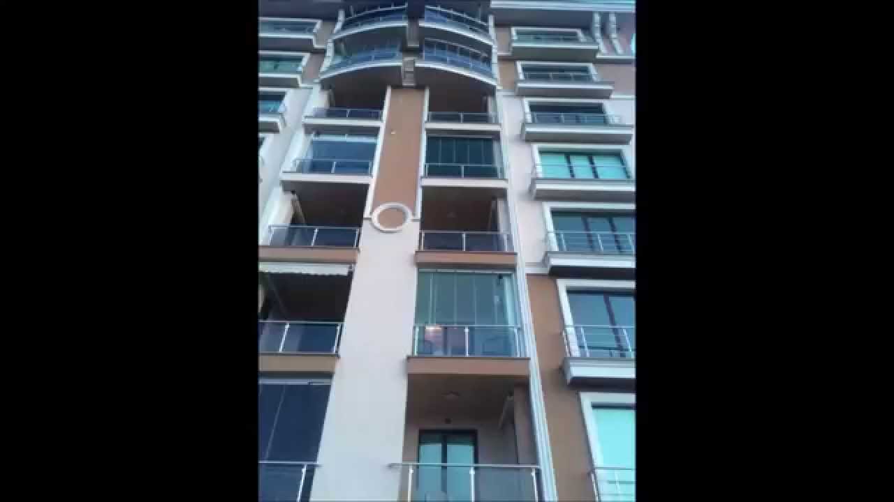 اضغط على الصورة لرؤيتها بالحجم الطبيعي