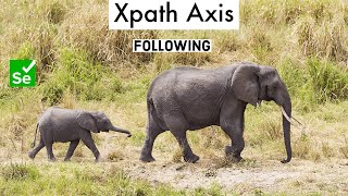 Xpath Axis Following || Tamil
