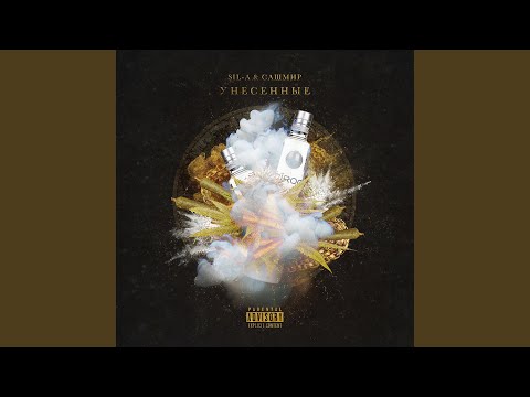 SIL-A, Сашмир - В моей системе