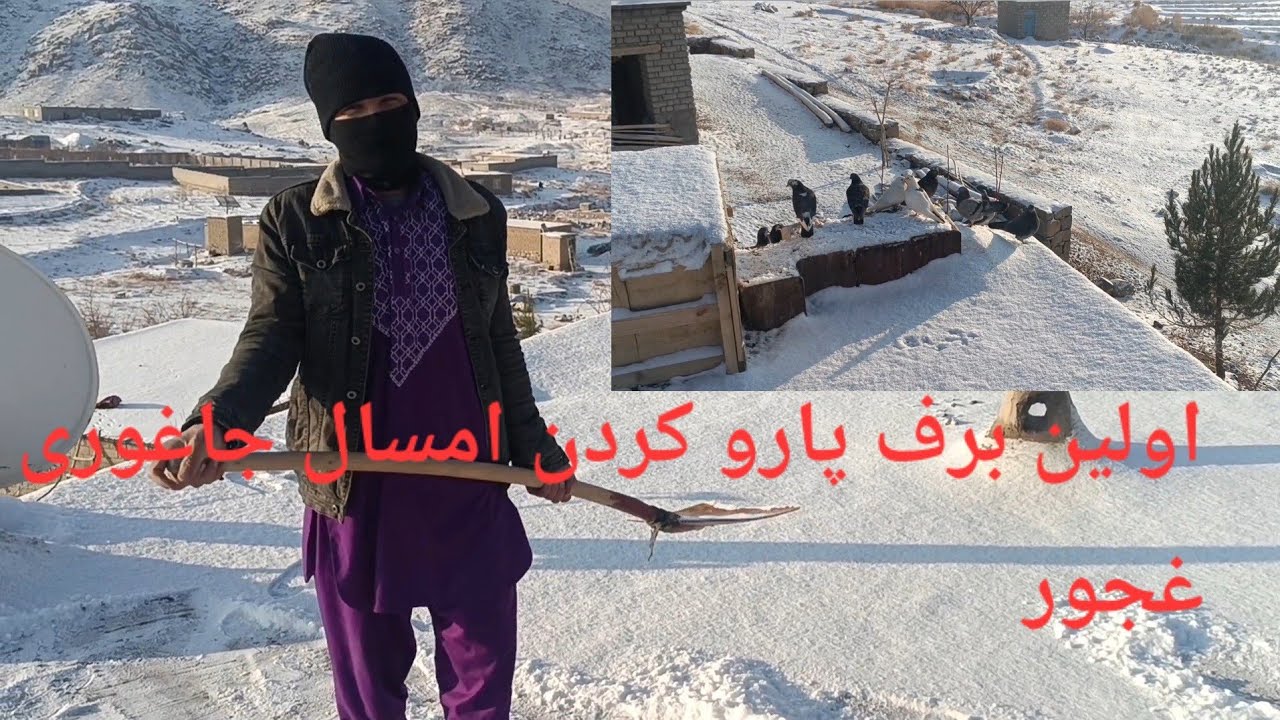 #برف