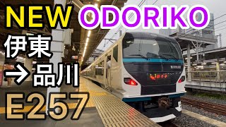 【車窓】JR東日本E257系2000番台 特急踊り子 東京行き《伊東駅→品川駅》
