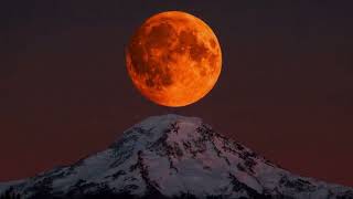 SUMMER'S IA - Island (Progressive House)