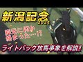 ライトバック放馬事象を解説！　新潟記念2024　元馬術選手のコラム