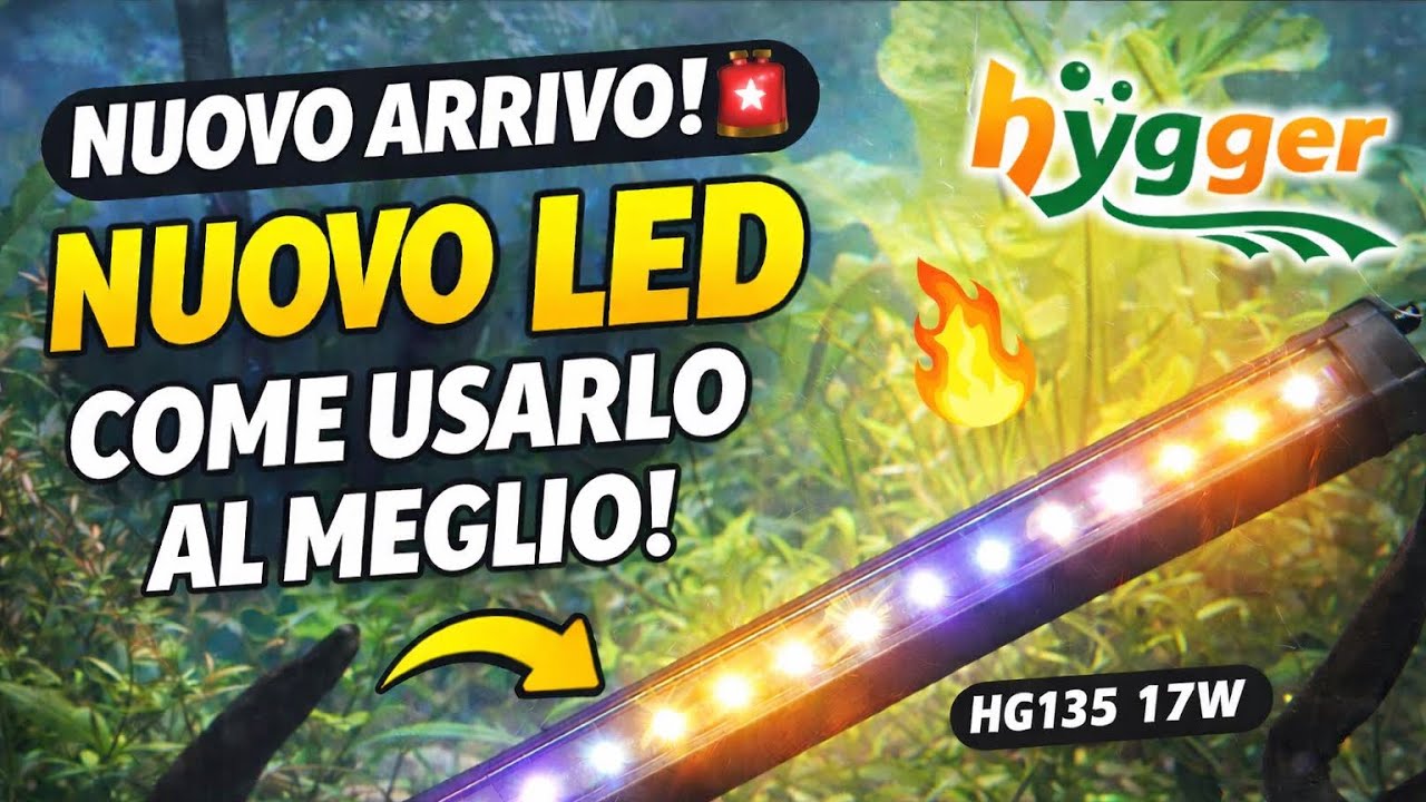 Acquario 150 Litri Low Tech 🌿 | La Luce PERFETTA con Ciclo 24/7 (Hygger)