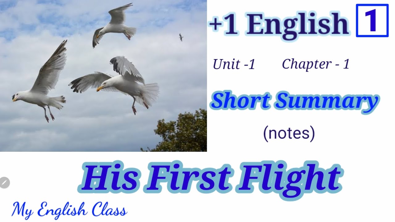 His First Flight Summary In English In Malayalam Short Summ Plus his-first-flight-summary-in-english-in-malayalam-short-summ-plus