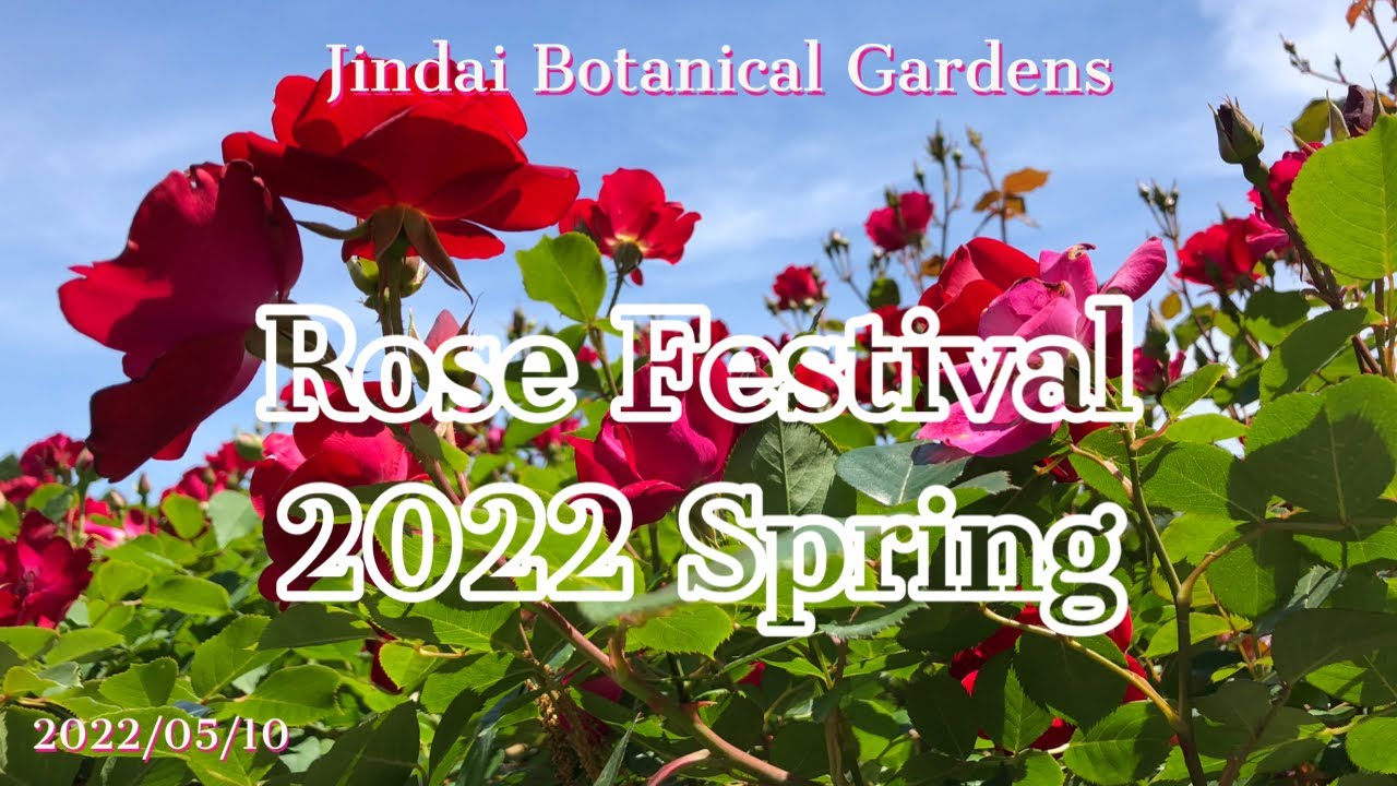 神代植物公園 春のバラフェスタ Rose Festival 22 Spring Jindai Botanical Gardens Tokyo Youtube