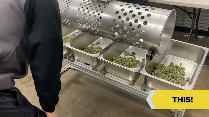 Groen's solutions for bucking and pre-trimming, sorting and packaging!