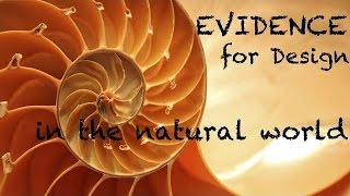 The Evidence of Design in Nature that Evolutionist can't explain away!