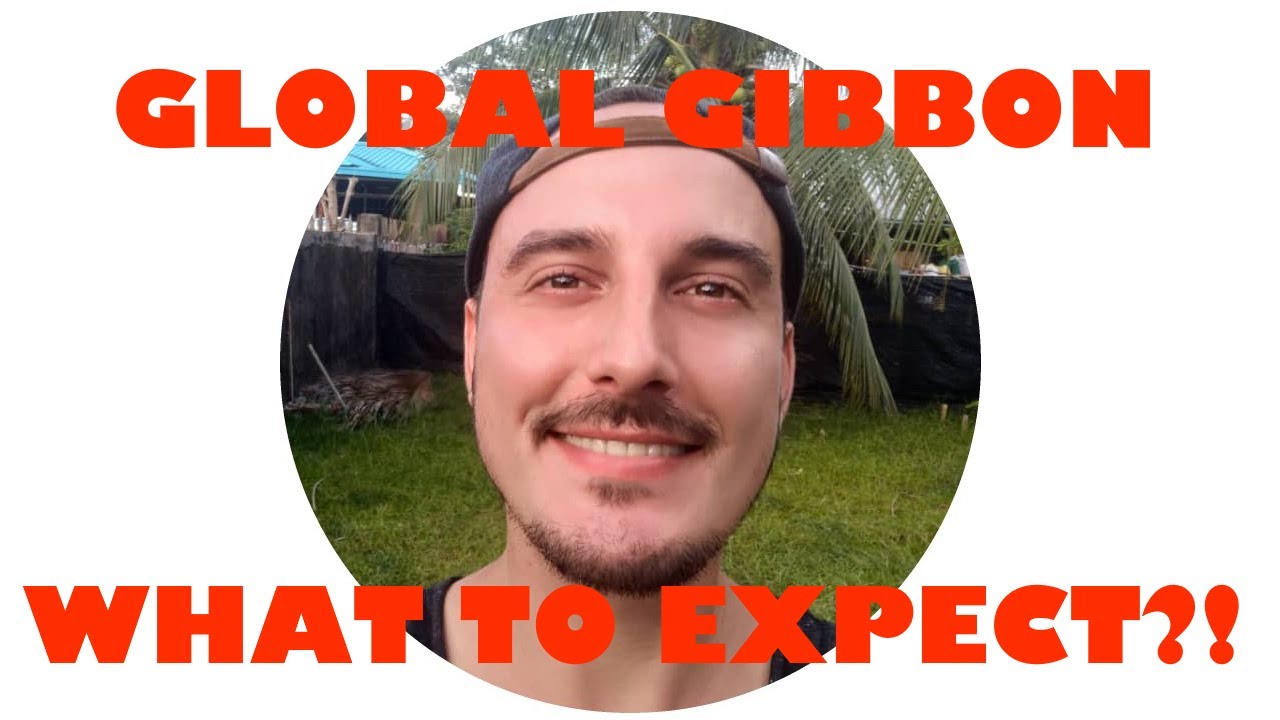 Trailer Global Gibbon Channel What to Expect YouTube