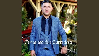 Video thumbnail of "Fernando din Barbulesti - Vino Isuse vino o Doamne"