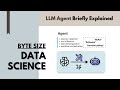 Byte Size Data Science | LLM Agent Briefly Explained