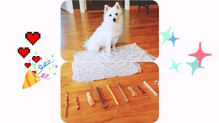 Tera VS 11 Chewies - Japanese Spitz by Tera & Luna 204 views 2 years ago 1 minute, 24 seconds
