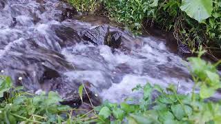 Mountain River Flowing Sound in Green Nature. Flowing River, Water Sounds. White Noise for Sleeping