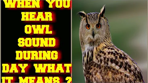 WHEN YOU HEAR AN OWL SOUND DURING THE DAY WHAT DOES IT MEAN ?