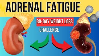 Adrenal Fatigue Explained - Why You're Always Tired (And How to Fix It)